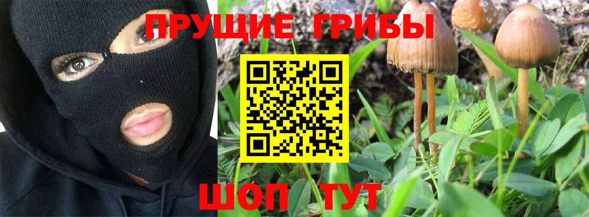 Галлюциногенные грибы прущие грибы  Вход с VPN  Белорецк 